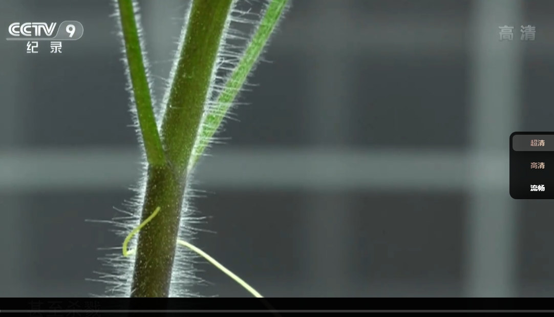 纪录片.植物的疯狂世界 纪录片国语中字 1080P 高清全集免费下载