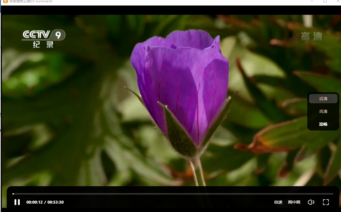 BBC纪录片.探索植物王国 纪录片1080P 共4集全集免费下载